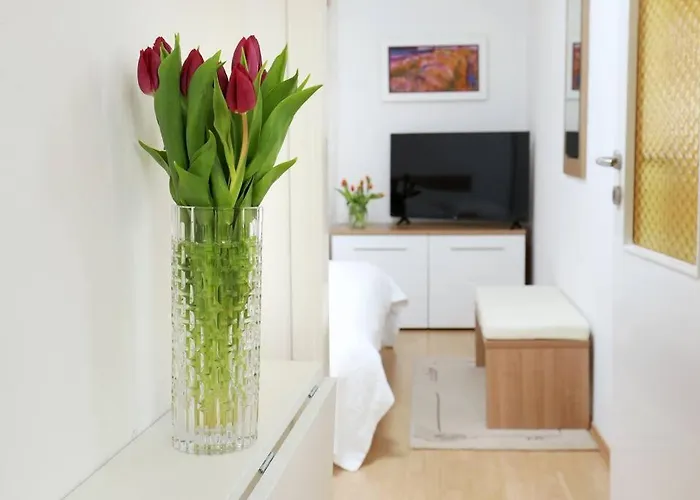 Mist 2 Lägenhet Split